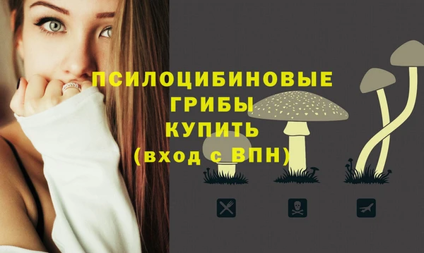 Альфа ПВП Баксан