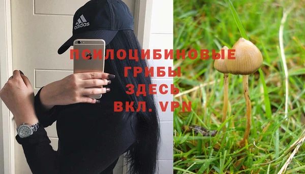 хмурый Приозерск