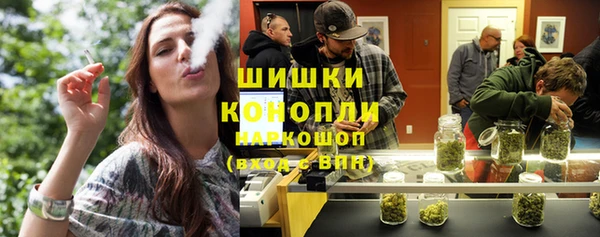 spice Рославль