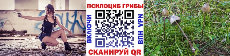 Галлюциногенные грибы прущие грибы  купить   Сорск 